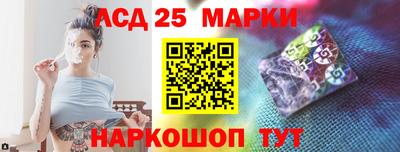 крисы Моздок