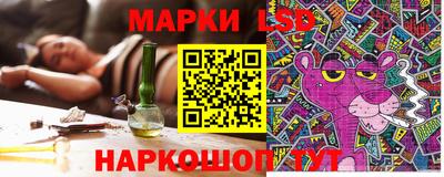 крисы Моздок