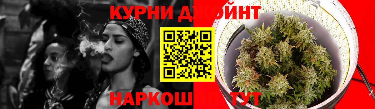 Марихуана гибрид  Конопля конопля  Элиста  Вход с VPN 