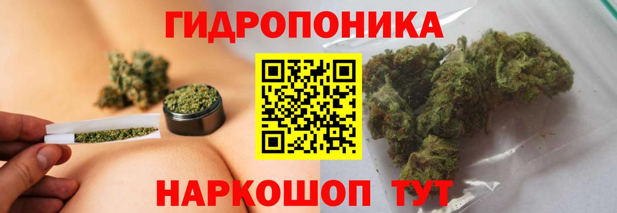 Бошки Шишки SATIVA & INDICA Элиста